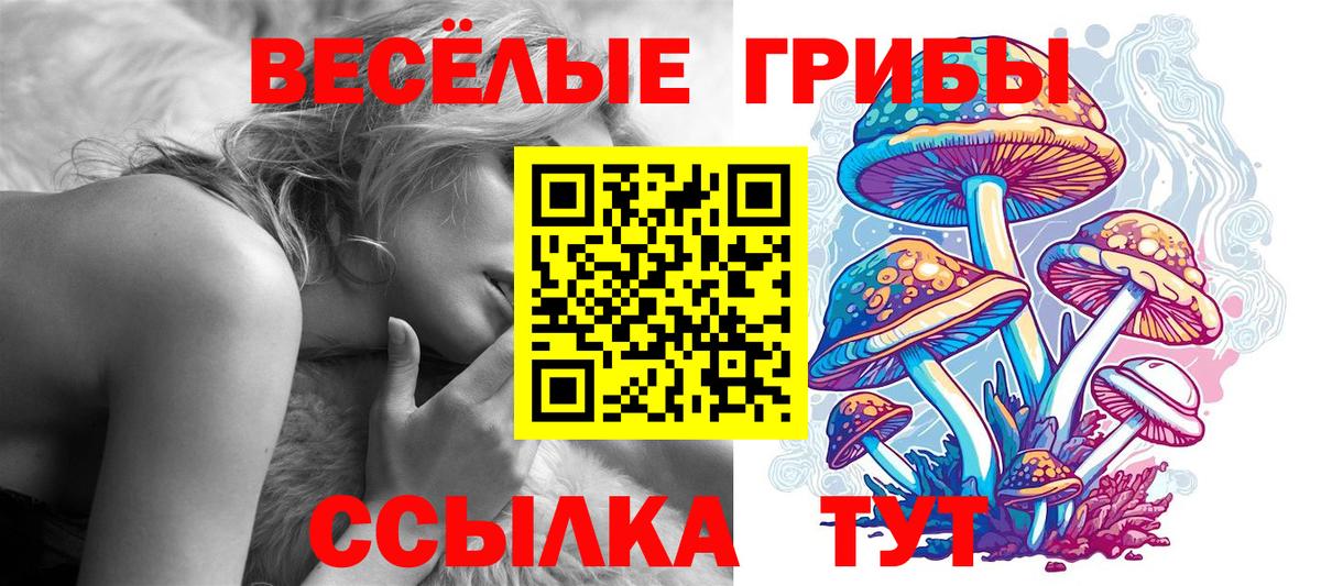 Сибай  Галлюциногенные грибы Psilocybine cubensis  Вход с VPN 