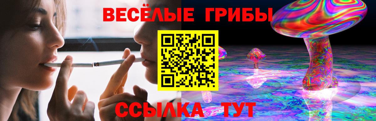 Псилоцибиновые грибы Psilocybine cubensis Сибай